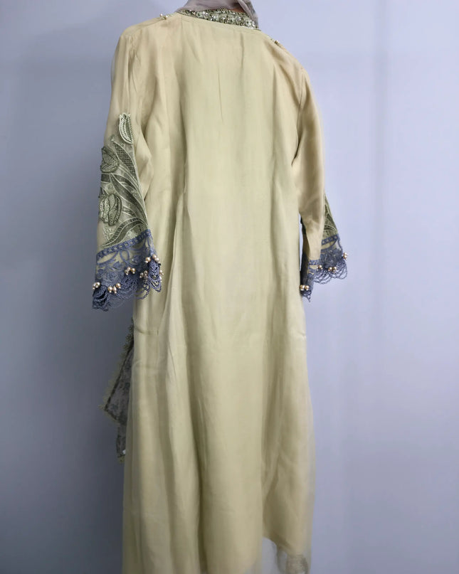 Festive organza party wear outfit for women