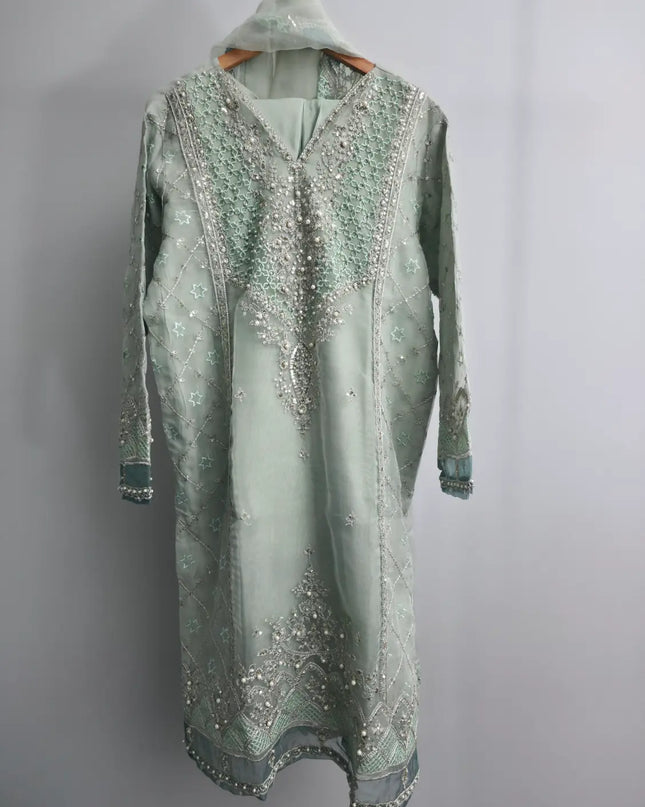 Mint green embroidered organza kurta set